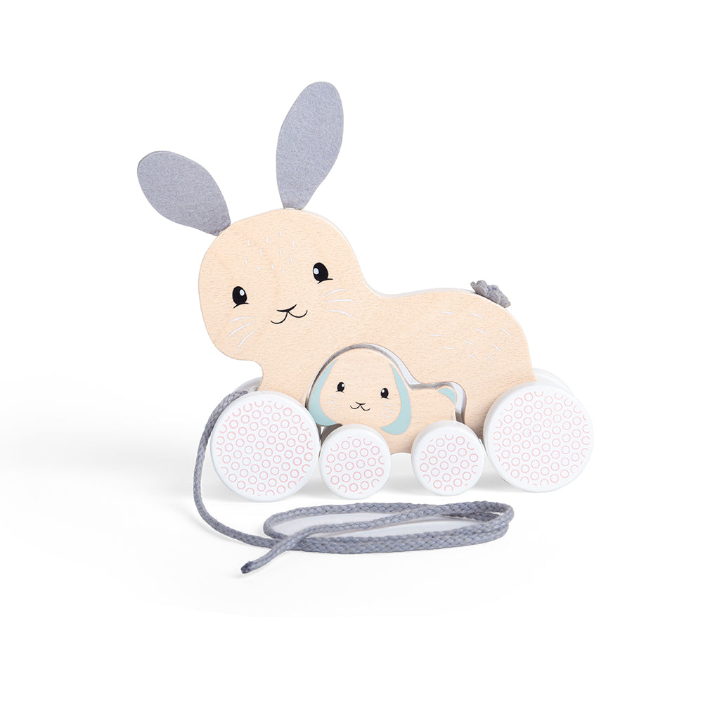 fsc-pull-along-bunny-baby-35029-4