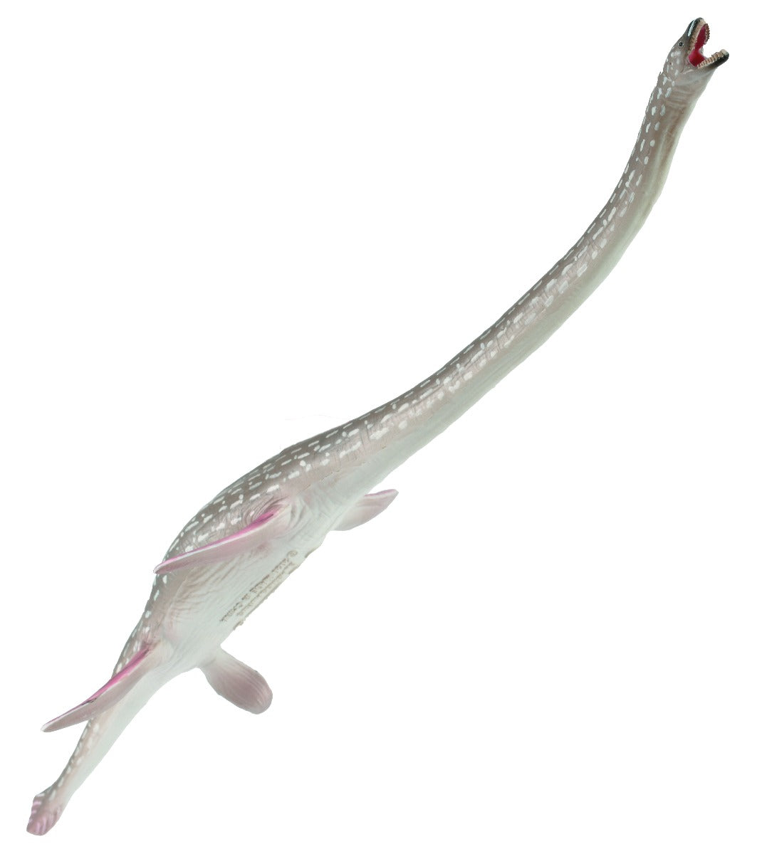 elasmosaurus - 3 Elasmosaurus – Bigjigs Toys