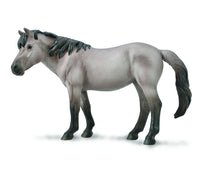 Konik Mare  Blue Dun
