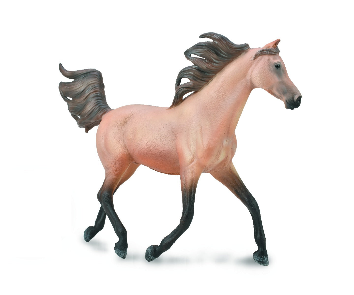 Half Arabian Stallion Dunskin CollectA Bigjigs Toys