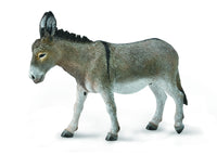 Donkey