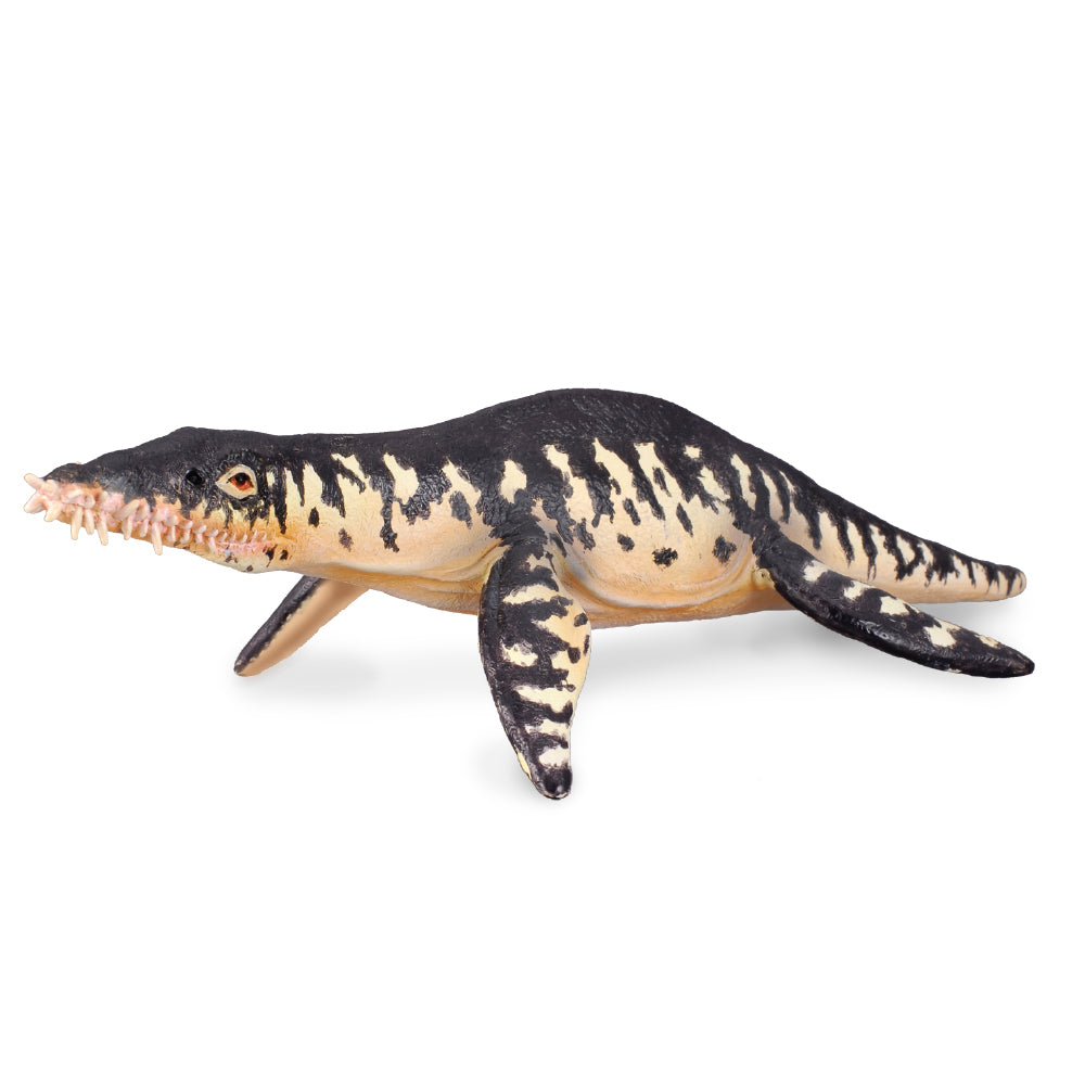 Collecta Liopleurodon