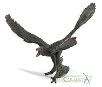 Microraptor- 1:6 Scale