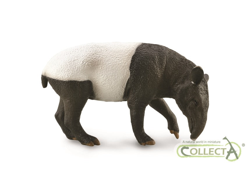 Malayan Tapir - 9588881