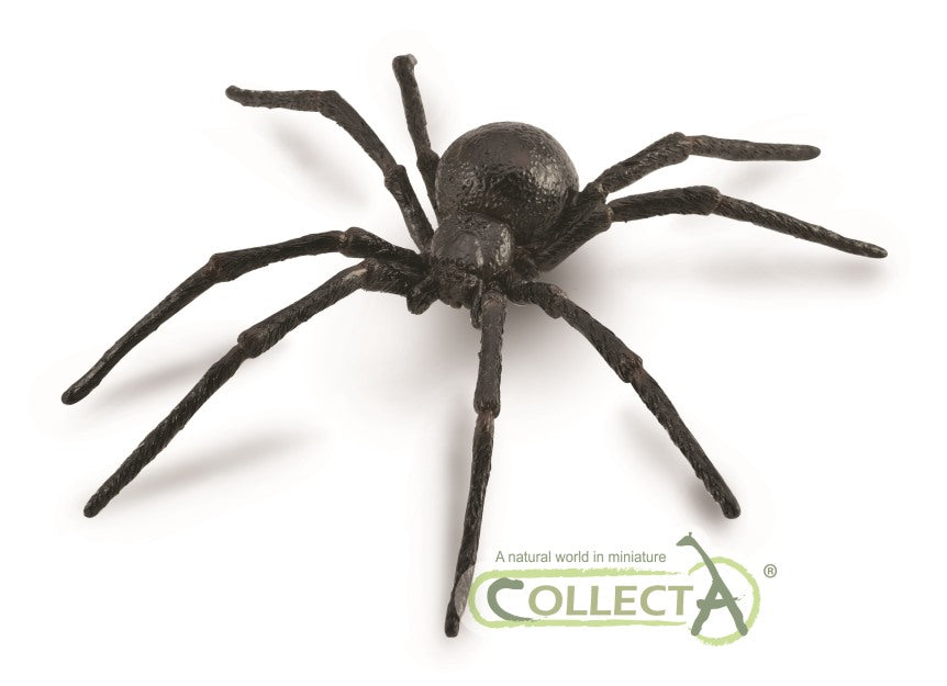 Black Widow Spider - 9588884