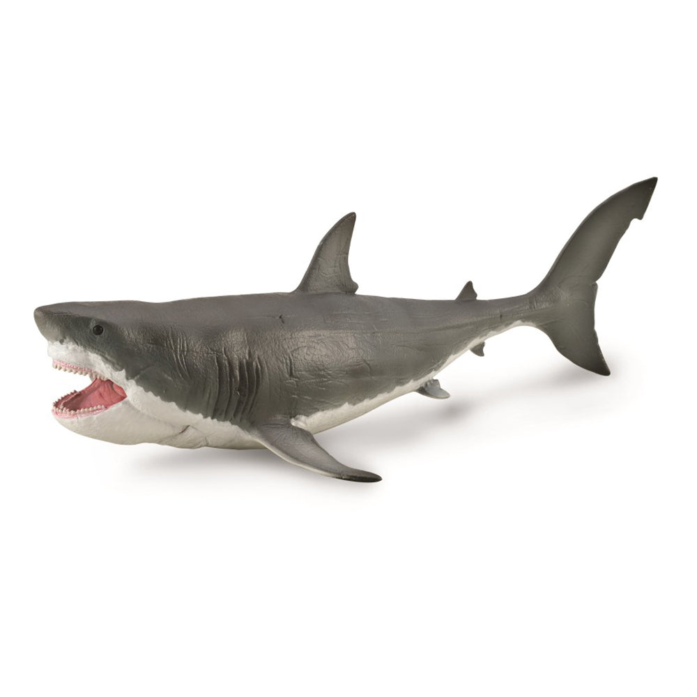 Megalodon with Movable Jaw - 1: 40 Scale - 9588887