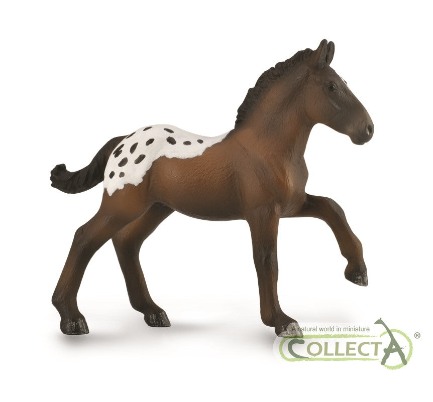Sugarbush Draft Foal - 9588897