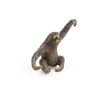 Sloth