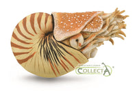 Nautilus Pompilius