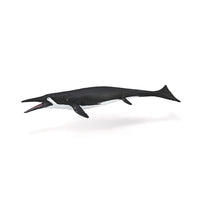 Shastasaurus