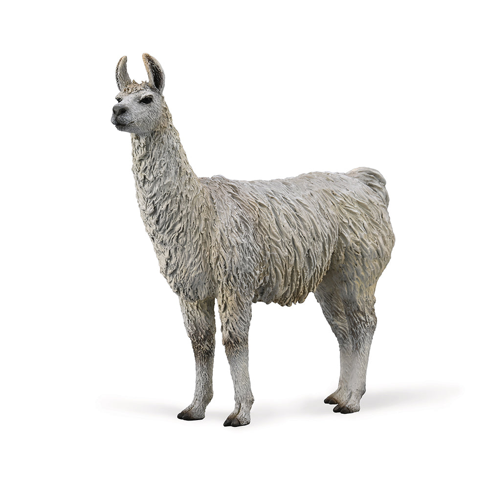 collecta-llama-9588991-1