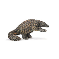 Pangolin