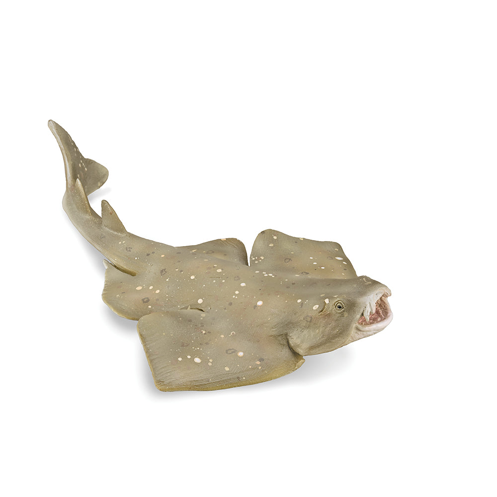 collecta-angel-shark-9588999-1