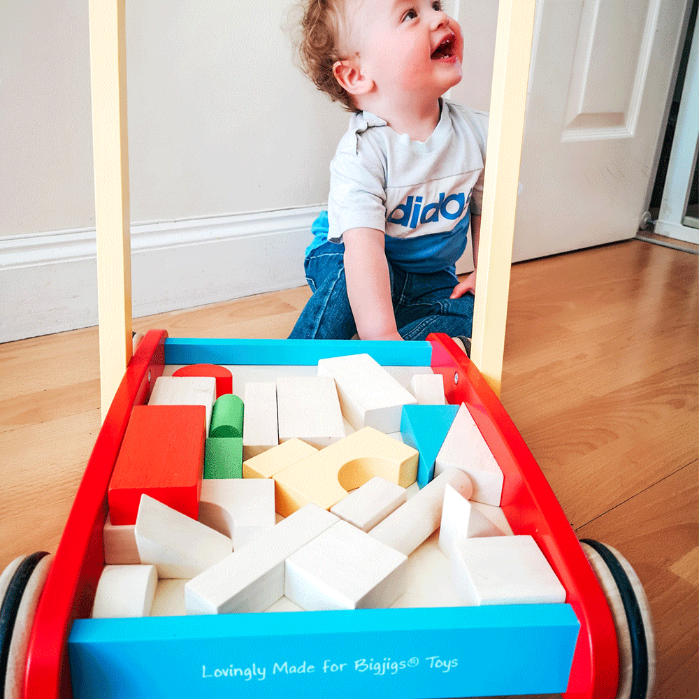 Baby Walker