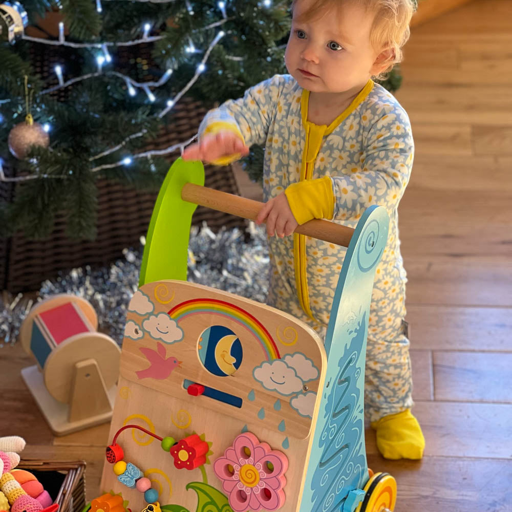 Flower Activity Walker - DAMAGED BOX
