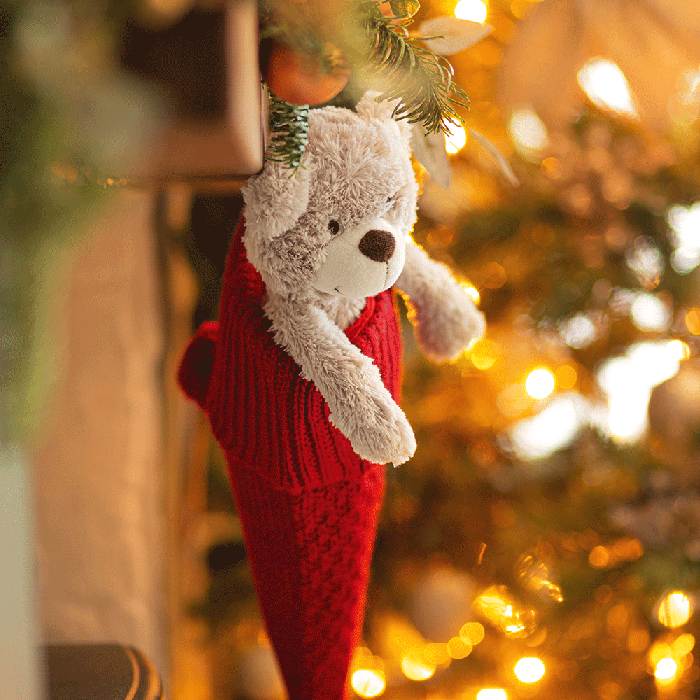 Buddy Bear - Plush