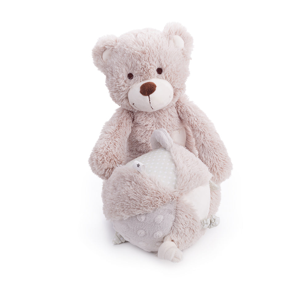 Buddy Bear - Activity Ball