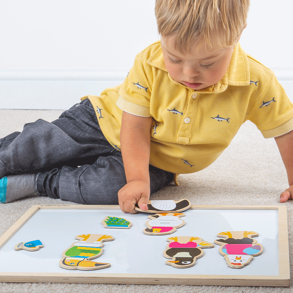 Mag-Play Mix-Ups - Feathered Friends