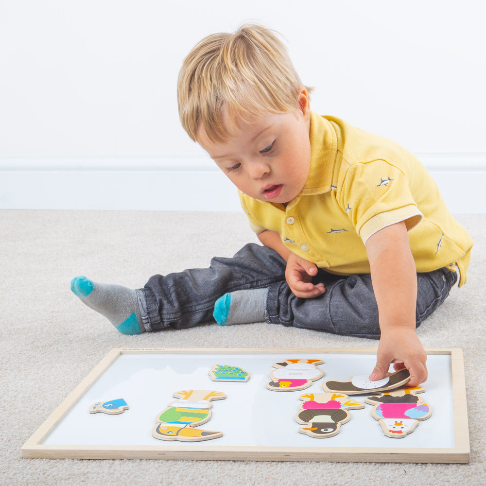 Mag-Play Mix-Ups - Feathered Friends