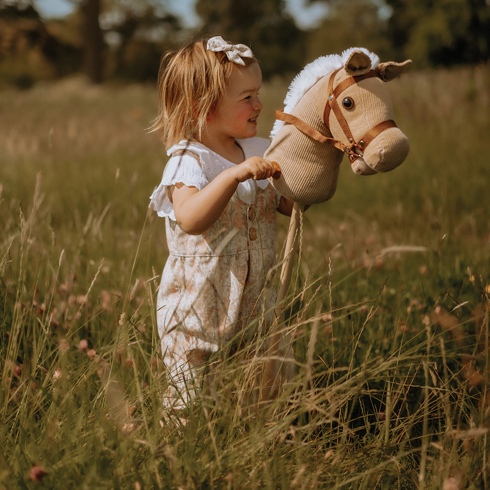 Childs shop hobby horse