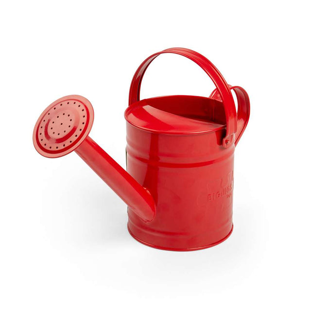 red-watering-can-damaged-box-BJ294-1