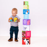 Farmyard Stacking Cubes - DAMAGED BOX