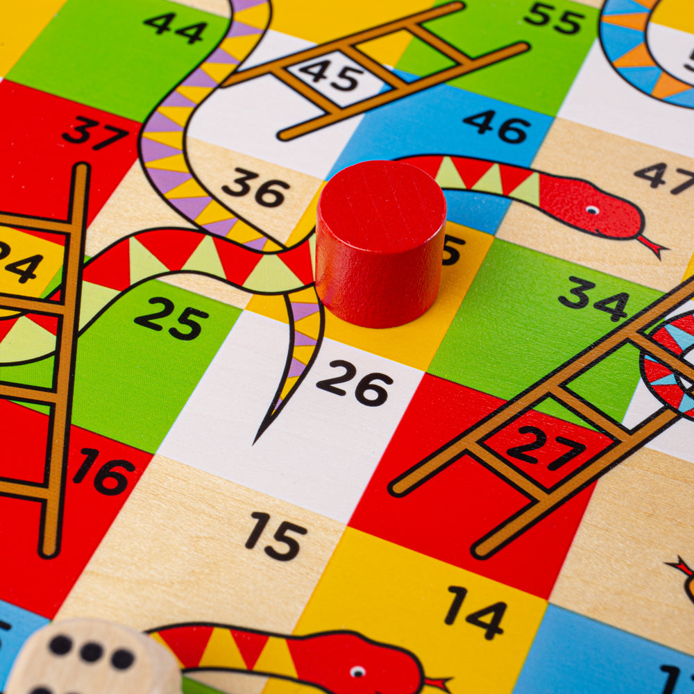 traditional-snakes-and-ladders-damaged-box-BJ788-4
