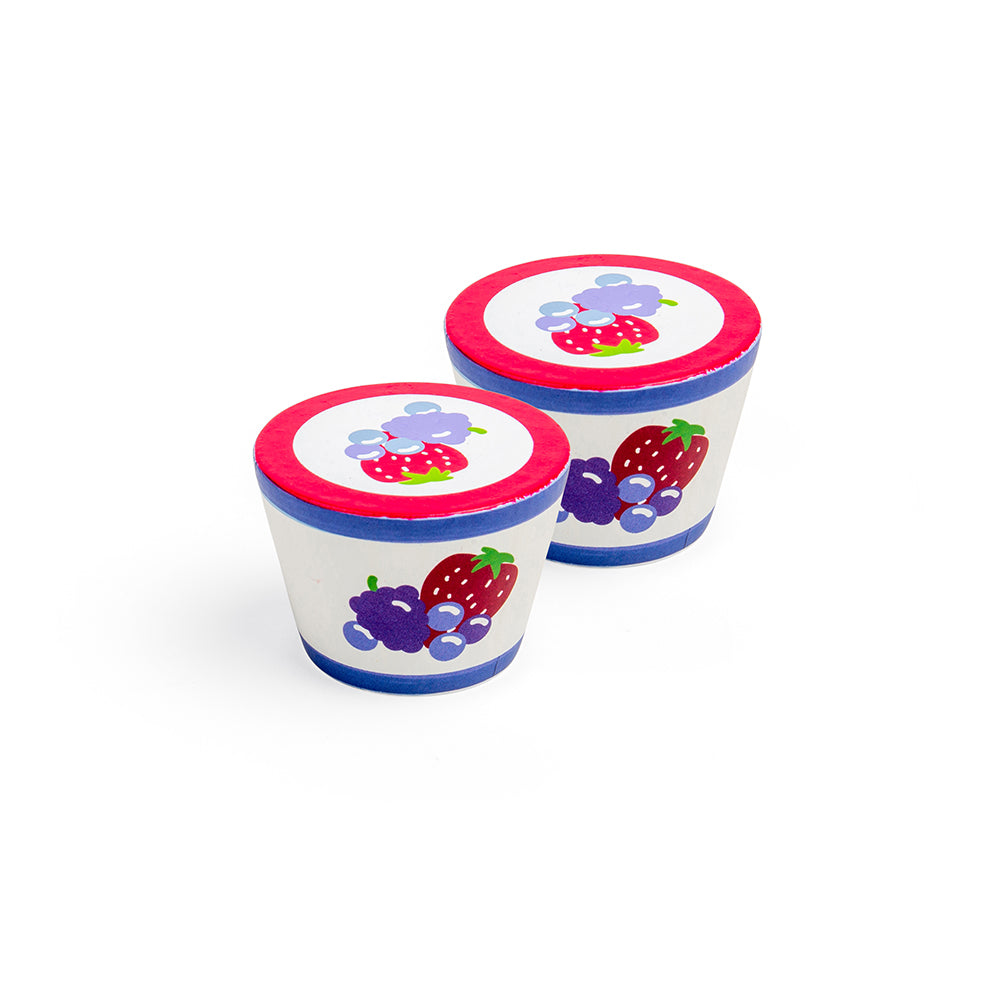 yoghurt-pack-of-2-RTBJF101-1