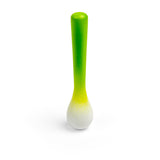 Spring Onion (Pack of 2)