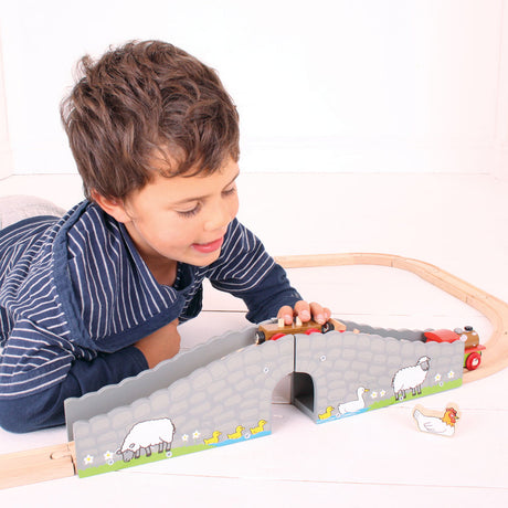 farm-bridge-damaged-box-BJT246-3