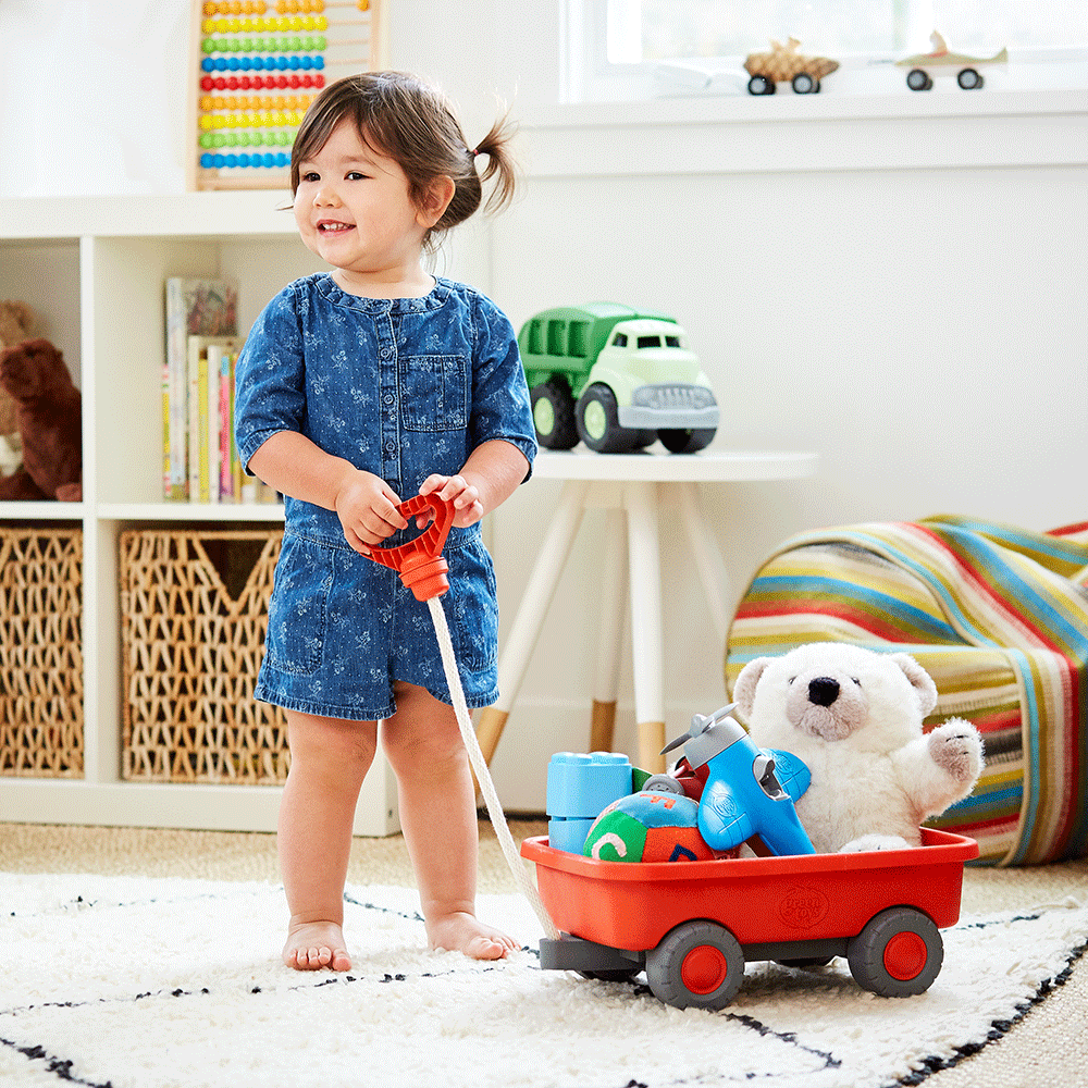 Baby 2024 wagon toy