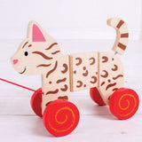 Cat Pull Along