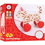 Cat Pull Along