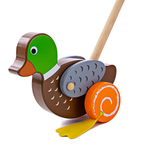 Push & Pull Toys