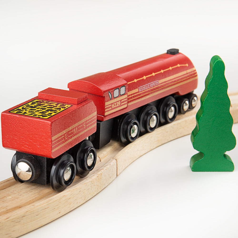 Lady Thomas the Tank Engine & Friends Wooden Toy Train Magnetic Brio  Compatible UK Stock, FREE 1st Class Delivery