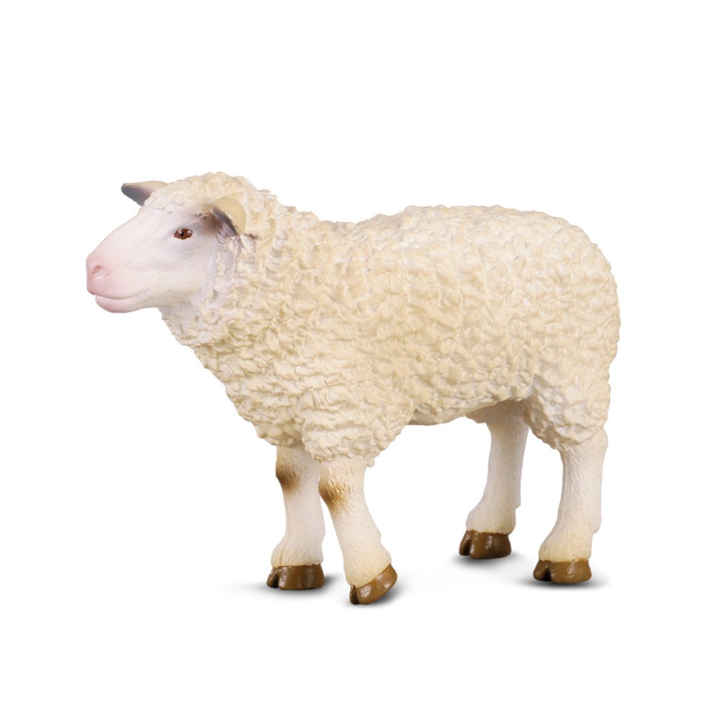 Collecta Sheep