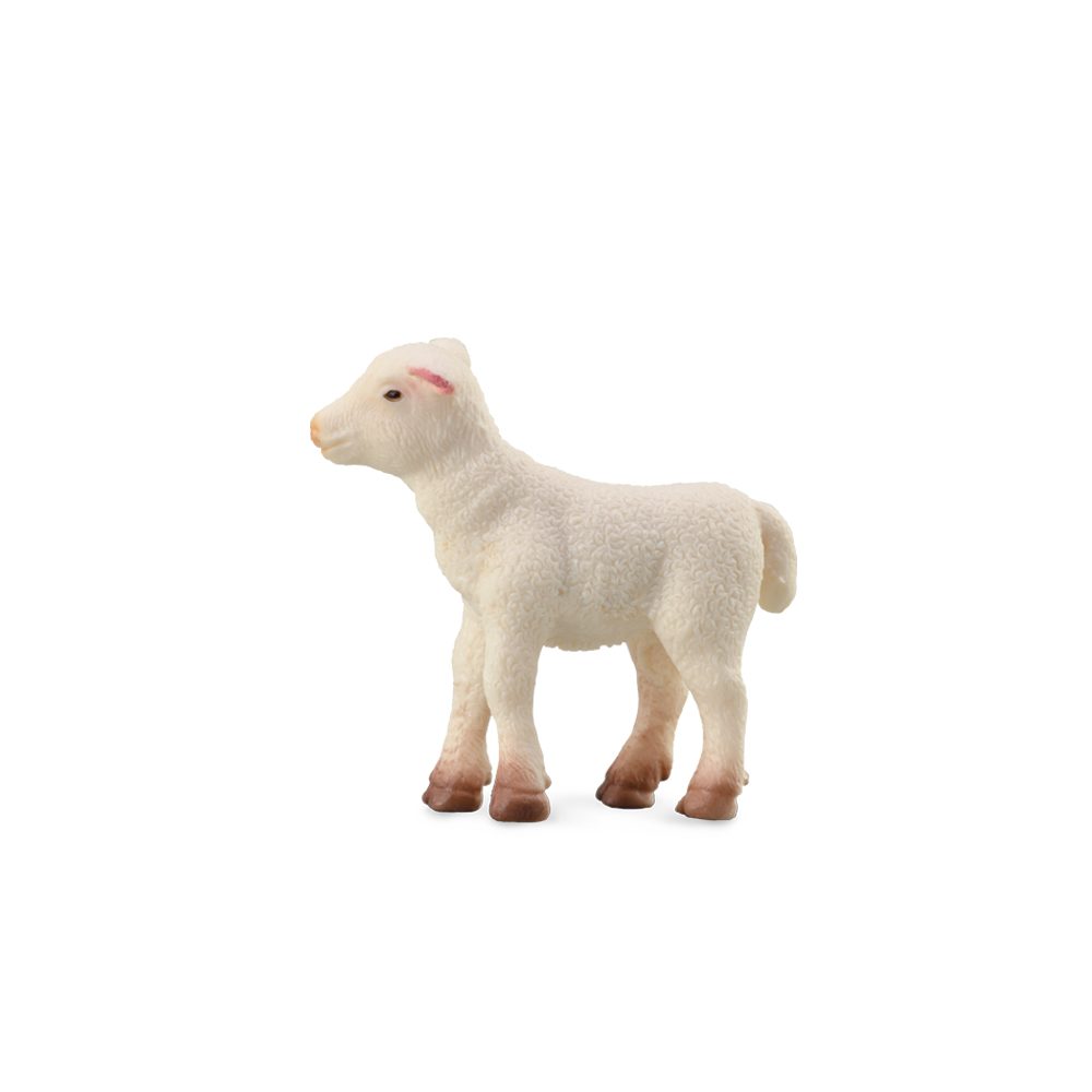 Collecta Lamb