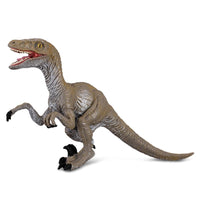 Velociraptor