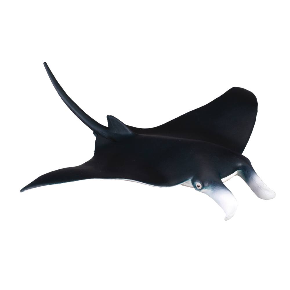 Collecta Manta Ray