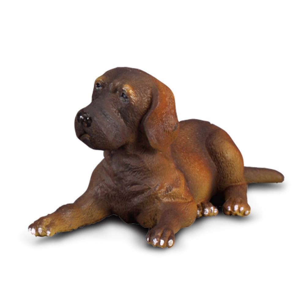 Collecta Great Dane Puppy