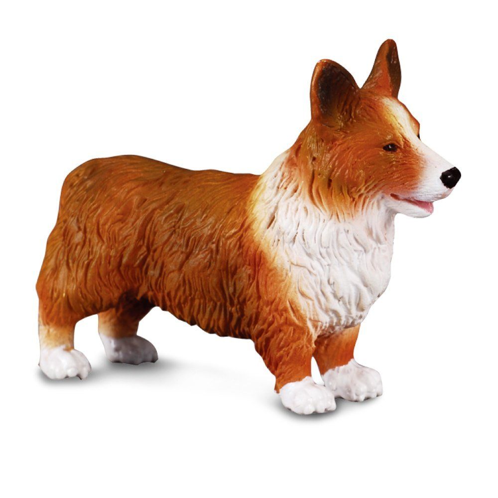 Collecta Welsh Corgi