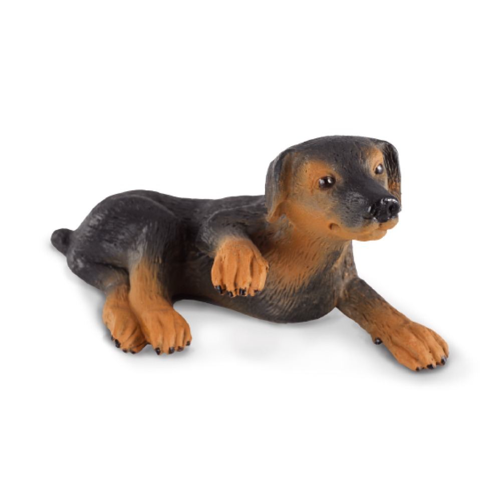 Collecta Doberman Pinscher Puppy