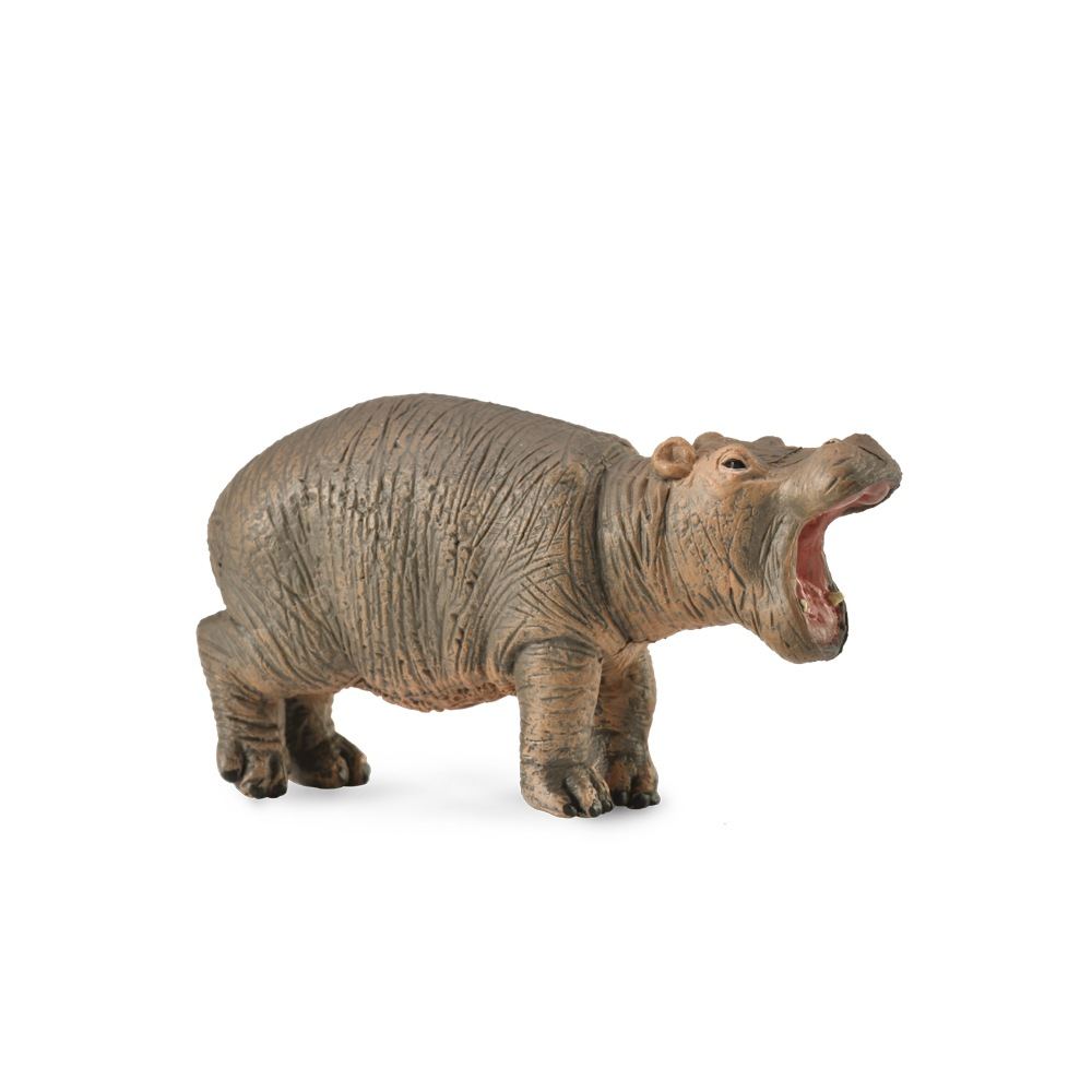 Collecta Hippopotamus Calf