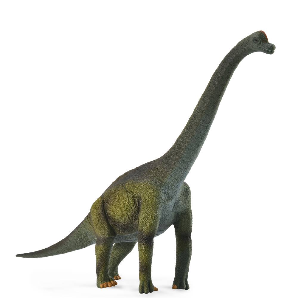 Collecta Brachiosaurus