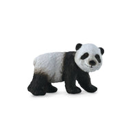 Giant Panda Cub Standing