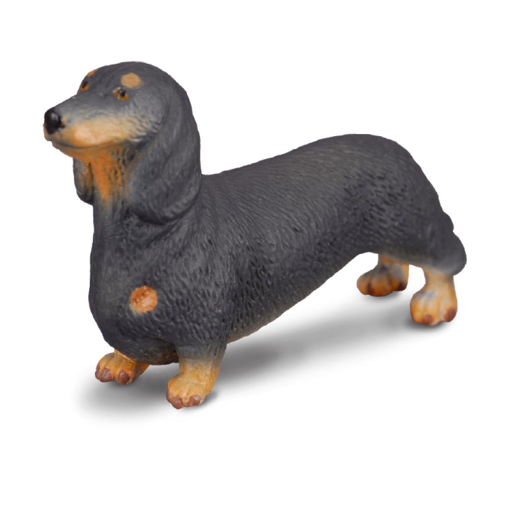 Collecta Dachshund