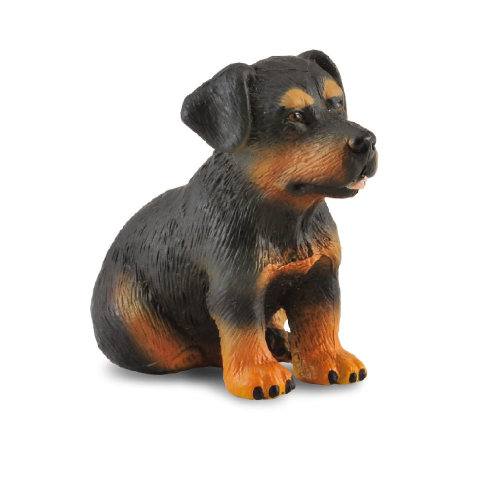 Figure Rottweiler Rottweiler Puppy Figurine | CollectA Collectable Animal Figure ...