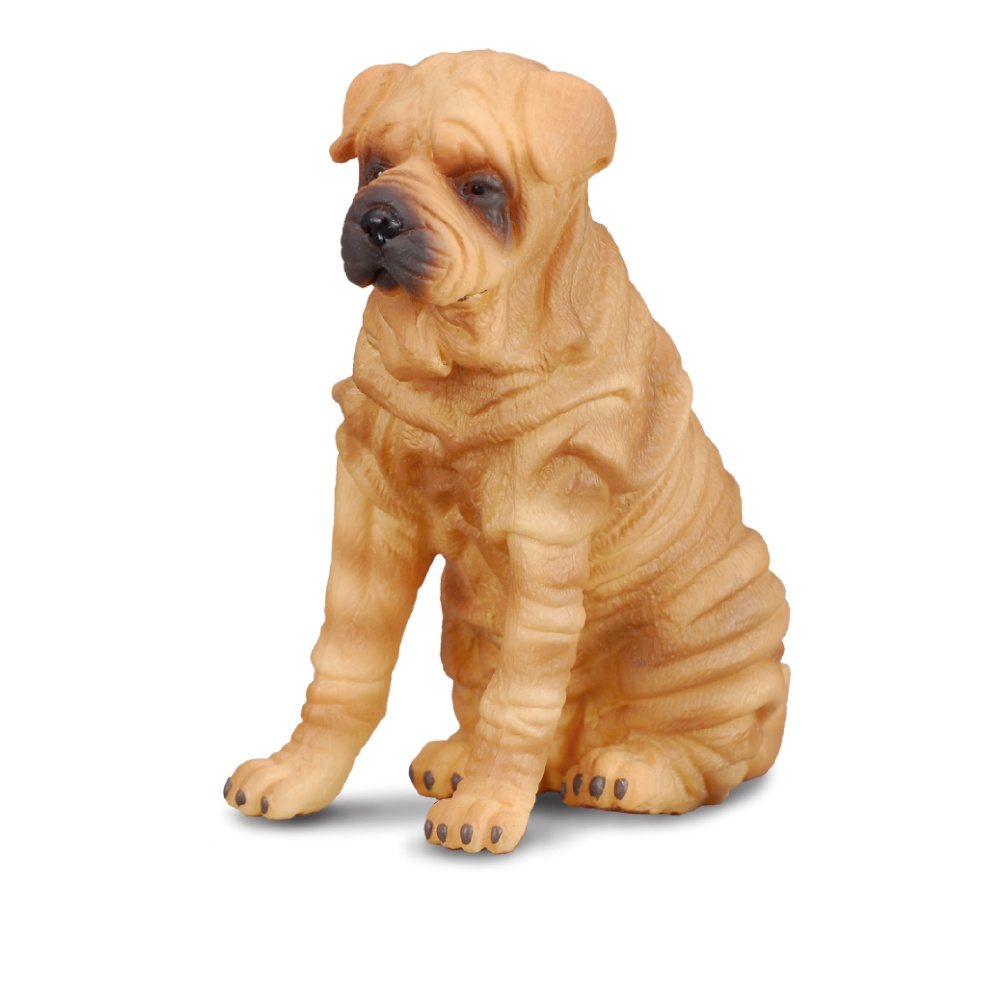 Collecta Shar Pei