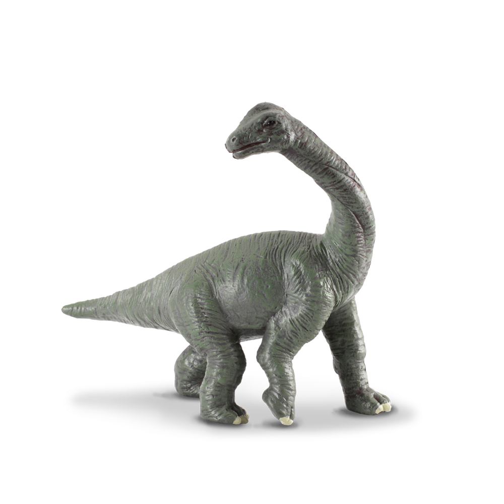 Collecta Brachiosaurus Baby