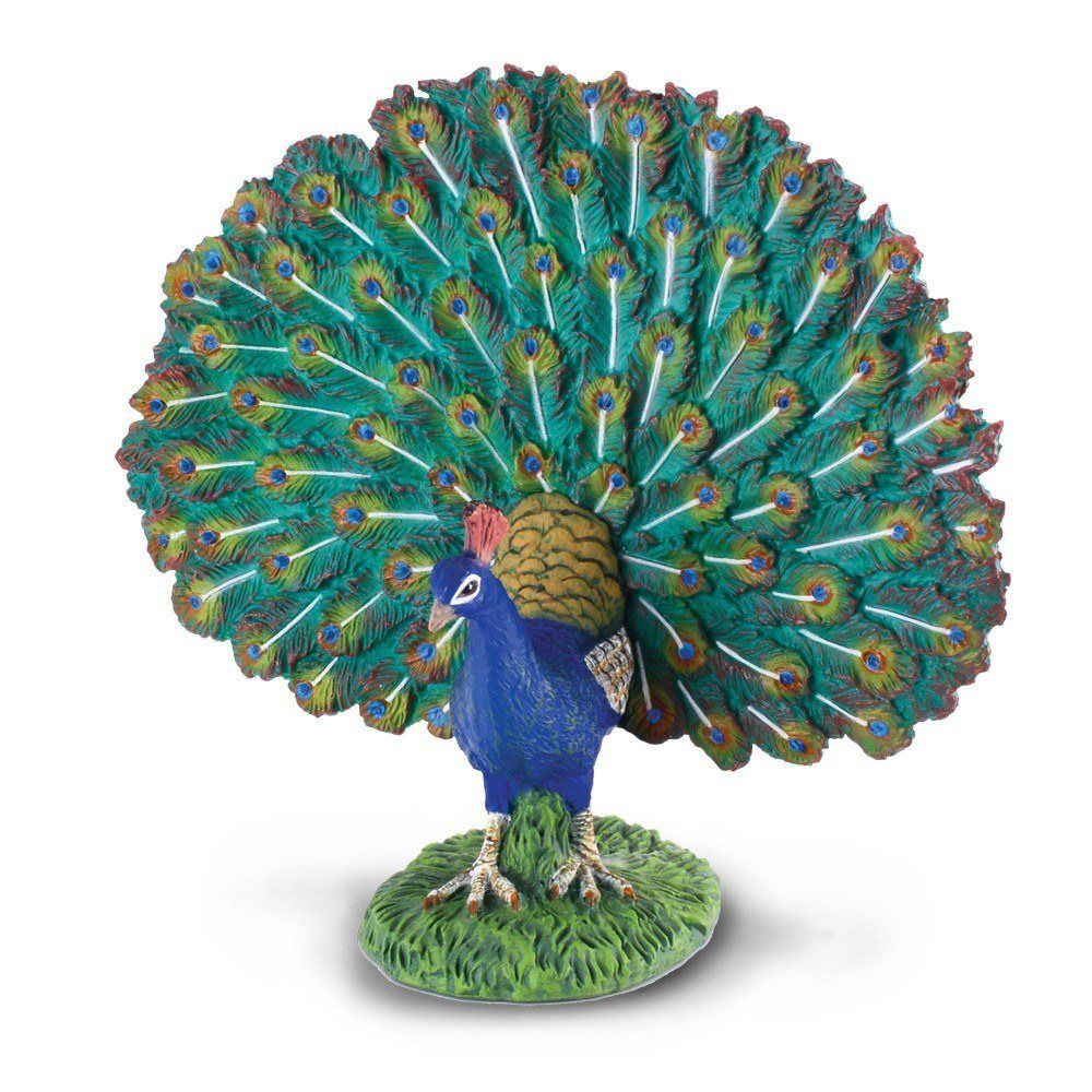 Collecta Peacock